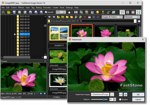 FastStone Image Viewer interface showing the photo browser and preview